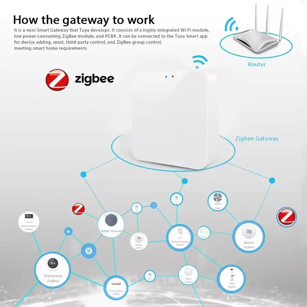 Tuya Zigbee gateway, Google, Alexa